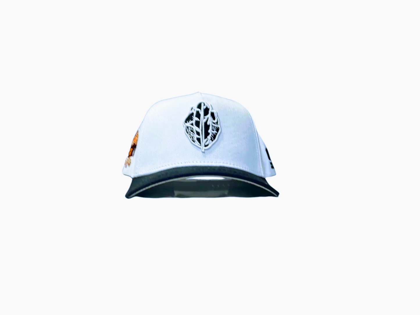 HeartfeatherEqual A-FRAME SNAP BACK