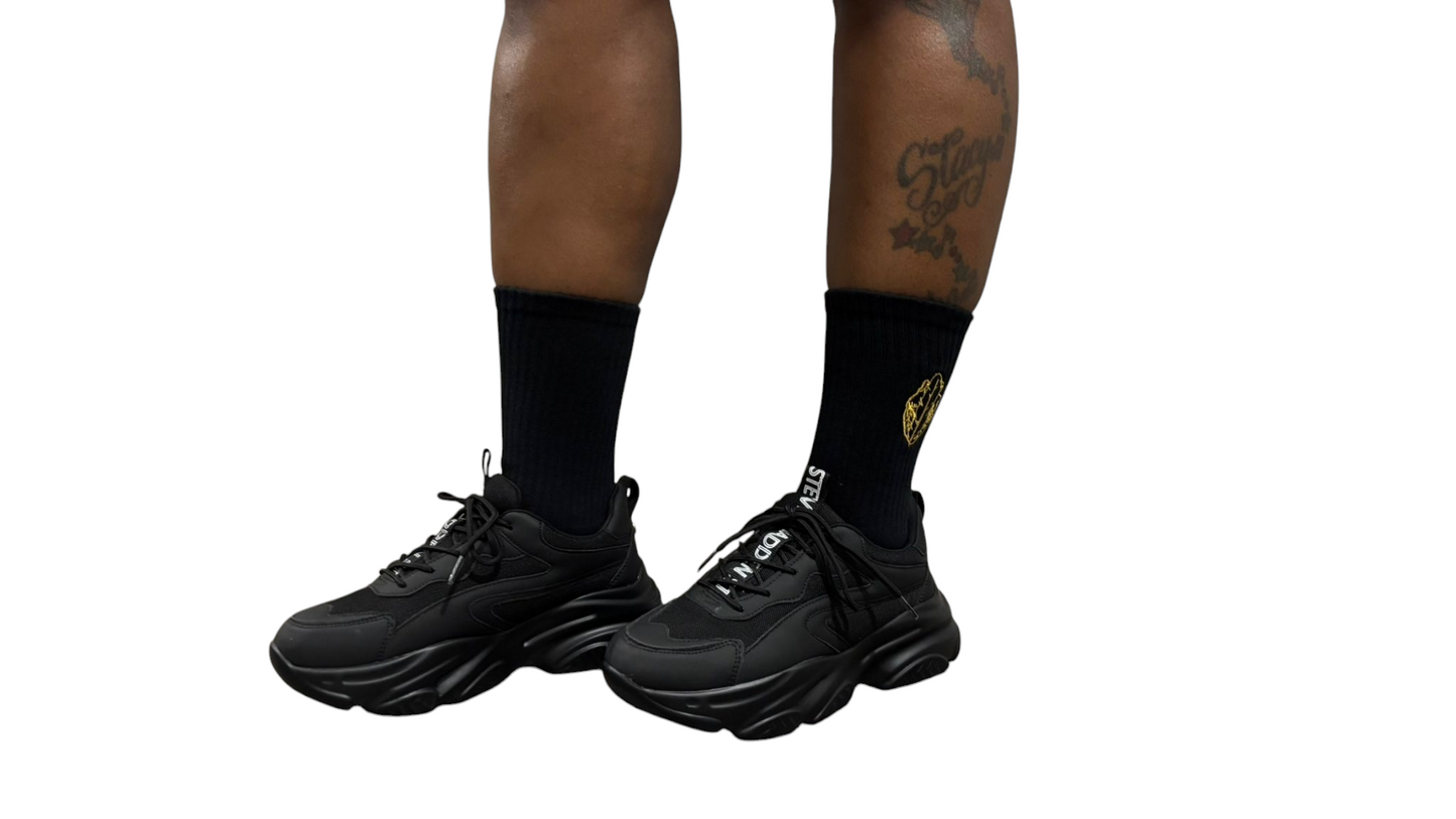 HeartfeatherEqual Logo Sox