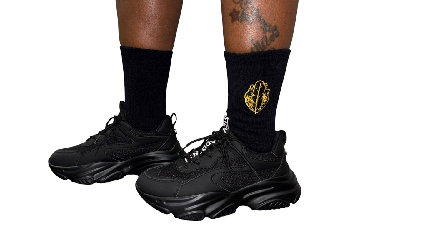 HeartfeatherEqual Logo Sox