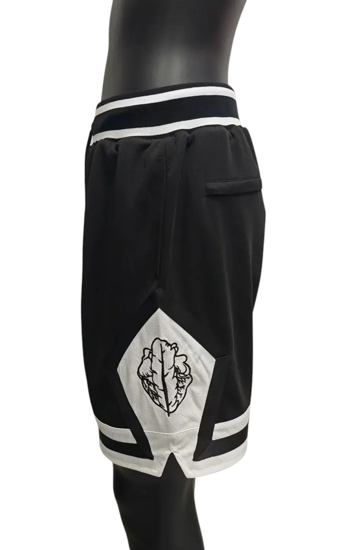 HeartfeatherEqual basketball shorts