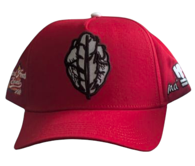 HeartfeatherEqual Red ♥️ logo A-Frame Logo hat