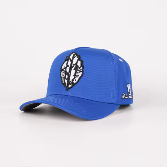 HeartfeatherEqual blue 💙 LOGO A-Frame snap back