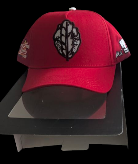 HeartfeatherEqual Red ♥️ logo A-Frame Logo hat
