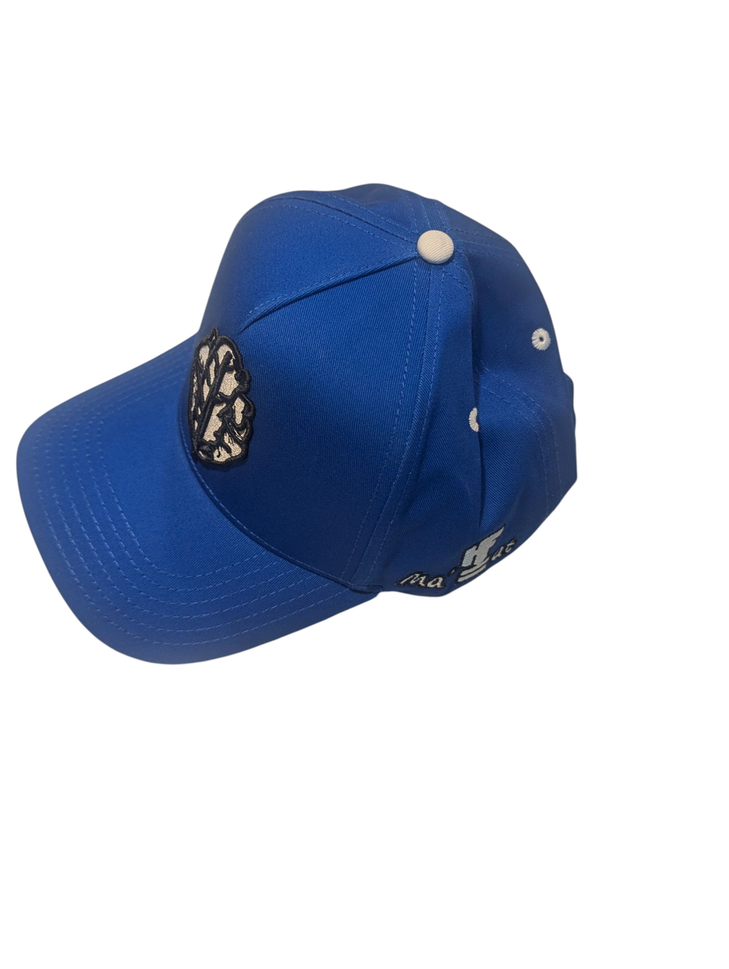HeartfeatherEqual blue 💙 LOGO A-Frame snap back