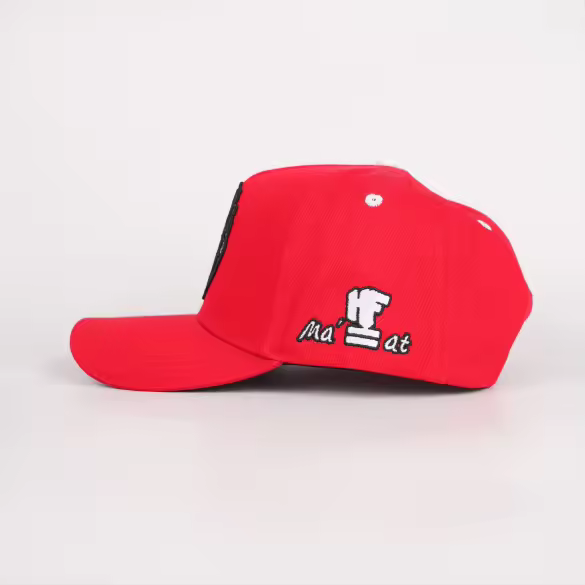 HeartfeatherEqual Red ♥️ logo A-Frame Logo hat