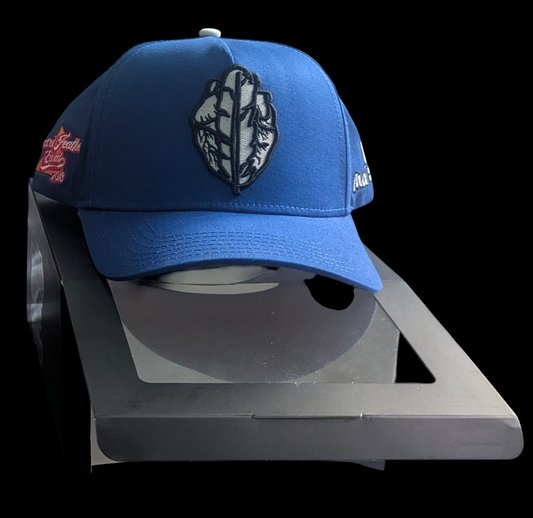 HeartfeatherEqual blue 💙 LOGO A-Frame snap back